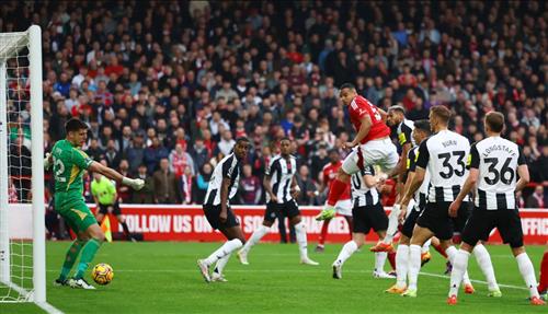 How to Bet in Sports: Beginner's Guide